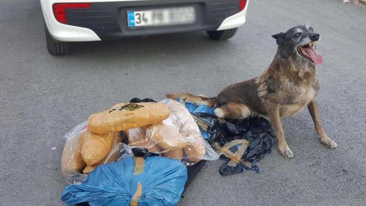 Uşakta 10 kilo 740 gram esrar ele geçirildi