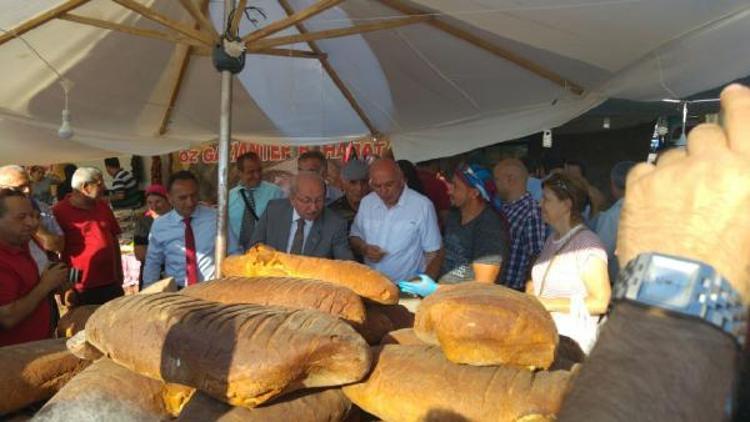 13’üncü Karadeniz Yayla Şenlikleri yapıldı