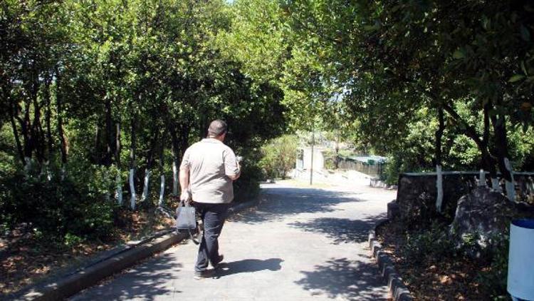 Zonguldak’ta hayvanat bahçesine yıkım kararı