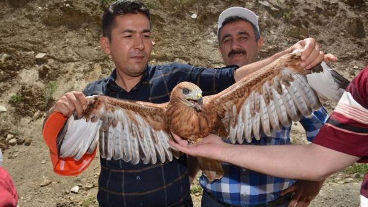 Baygın şahini Hakkari Belediye eş başkanları kurtardı