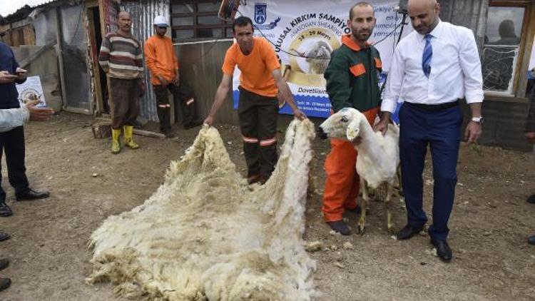 Kırkımcı yetiştirme kurslarının ikincisi düzenleniyor