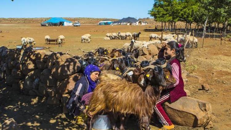 Dört mevsim Karacadağ: Yazı ayrı, kışı ayrı güzel