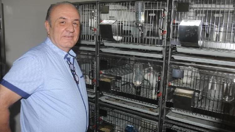 Kapatılan üniversitedeki deney hayvanları Gaziantep Üniversitesine taşındı