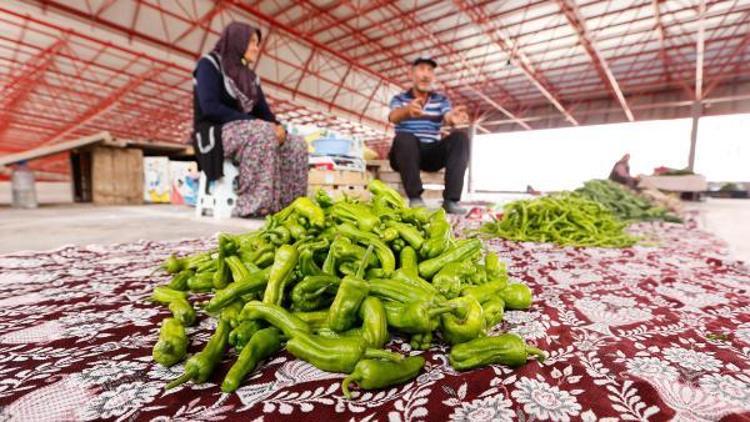 Sincanın Köylü pazarlarında herşey doğal