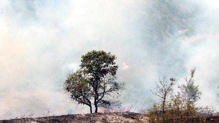 2 hektar makilik alan yandı