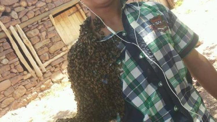 Şemdinlide 13 yaşındaki Celal koluna şerbet dökerek arıları topluyor