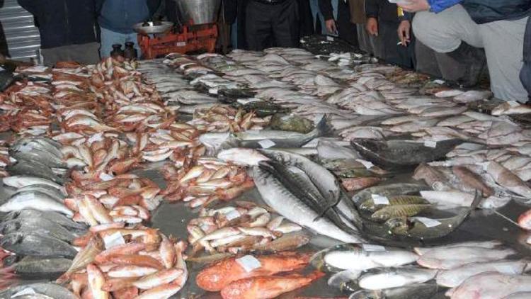 Başkan İnce: Egenin balıkçılık başkenti olacağız