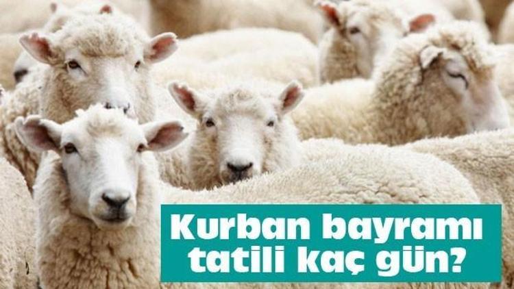 Kurban Bayramı ne zaman Bayram tatili 9 gün olacak mı