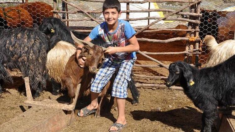 Kurban satış ve kesim yerleri belirlendi