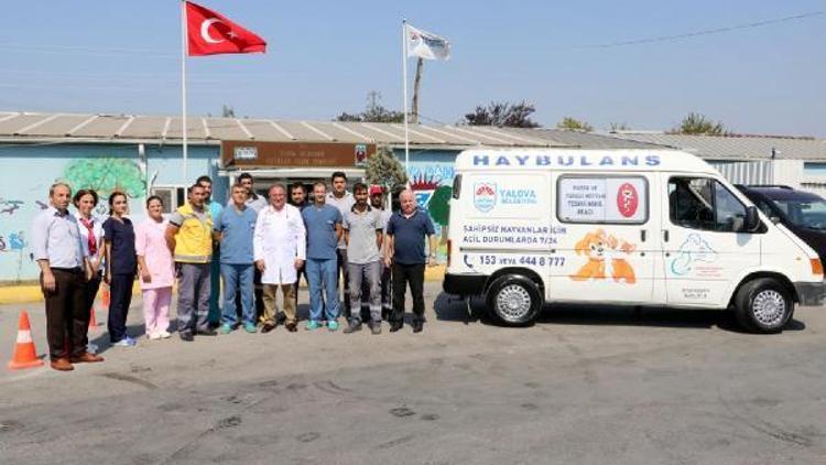 Yalova’da Haybulanslı ilk müdahale başkandan