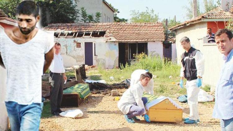 Bonzai geçti vahşet çıktı