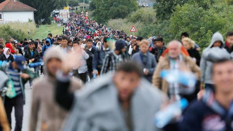 Mültecilere karşı tel örgülere domuz kafası asılmasını önerdi