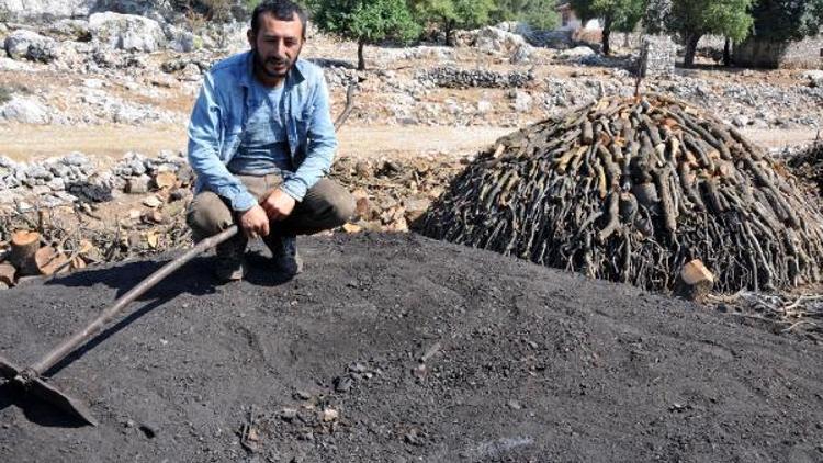 Odunu kömüre dönüştürerek ekmek parası kazanıyorlar