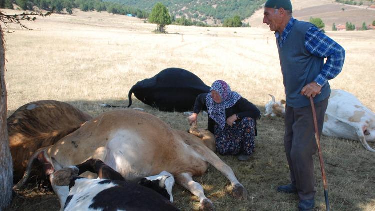 Binlerce kişinin mesajından sonra...