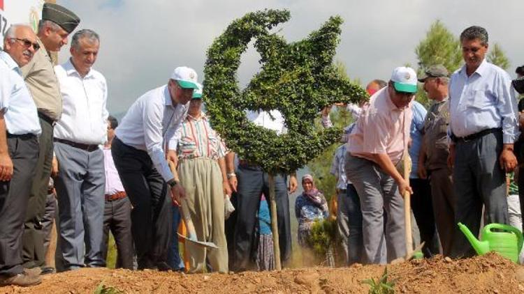 Silifkeye Demokrasi Şehitleri Ormanı