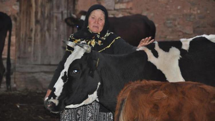 Telef olan ineklerine ağlayan çifte yardım