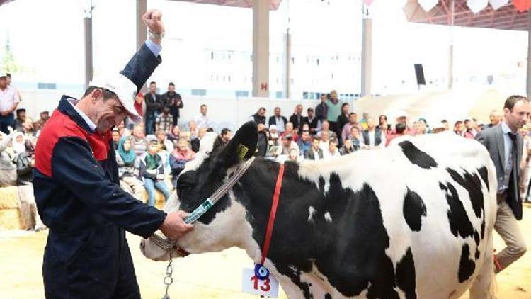 Uşakta sektöre yön verecek fuar