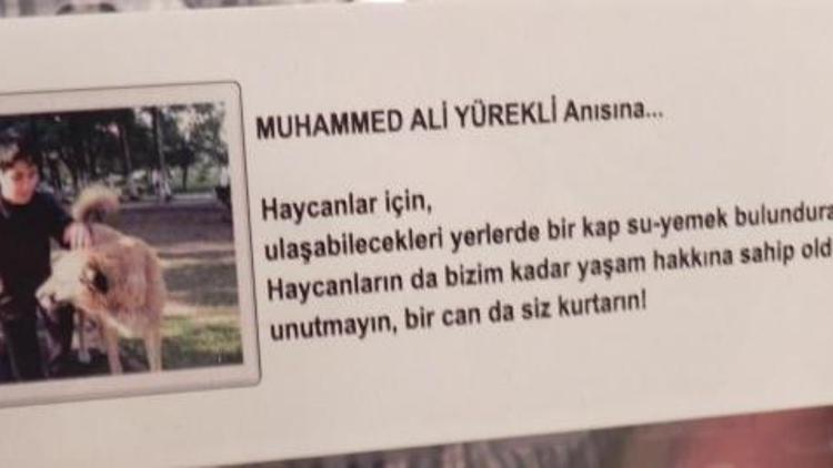 Muhammed Ali’nin mevlit yemeği ‘haycanlar’a su- yemek kabı oldu