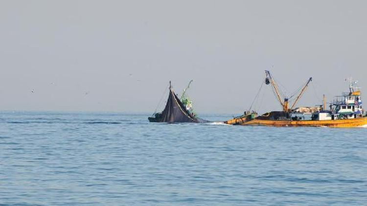 Doğu Akdenizdeki balıkçılar Ege ve Karadeniz’e yöneldi