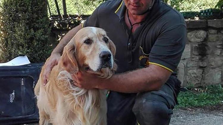 Mucize köpek Romeo İtalyada depremden 10 gün sonra kurtarıldı