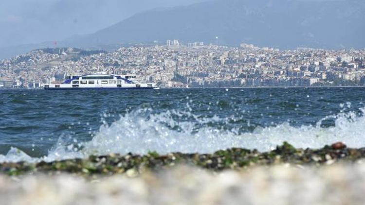 Kent Ormanı fotoğraf stüdyosu oldu