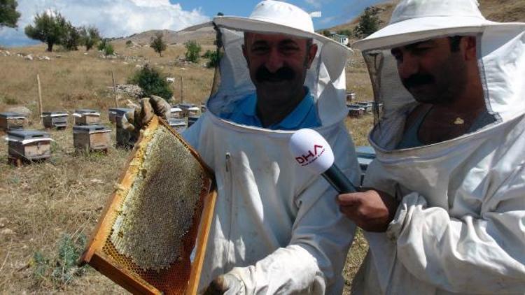 Ovacık Belediyesi işbirliğiyle Komünist Bal satışı