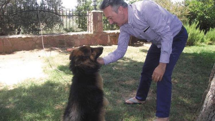 Siyasetin stresini toprakla atıyor