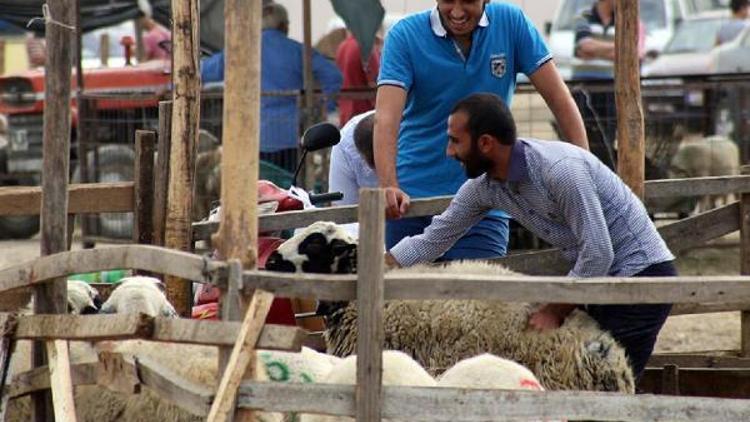 Kurban kesimi yasak dinlemedi