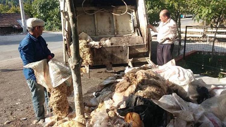 Camiye bağışlanan deriler kurtlanınca çöpe atıldı