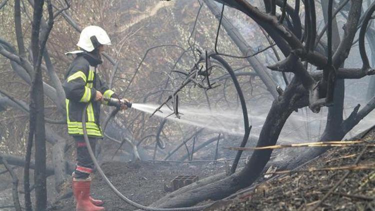 Ot yangını akaryakıt istasyonuna sıçramadan söndürüldü