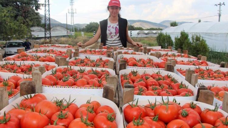 Bu köyde resmen para basıyorlar