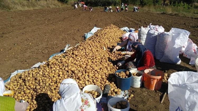 Türkiyede ilk kez üretildi Törenle toplanacak