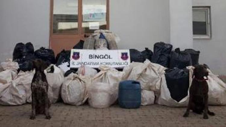 Bingölde 714 kilo esrar ele geçirildi