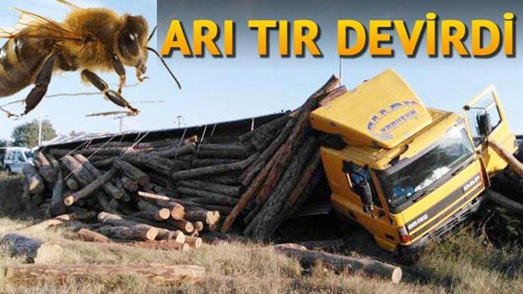 Arı TIR devirdi