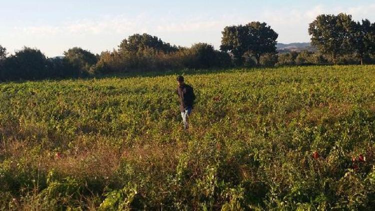 Yılan gören çocuk, konuşma yetisini yitirdi