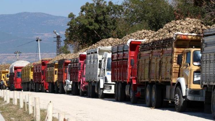 Burdur Şeker Fabrikasında pancar alımı başladı