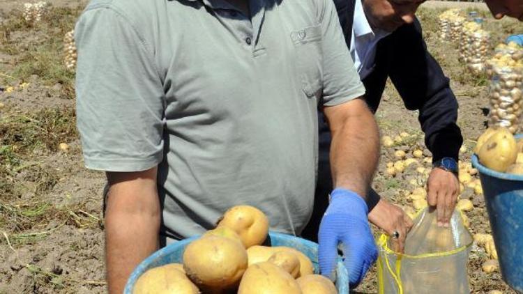 Patates üreticisi işçi ve pazar sıkıntısı yaşıyor