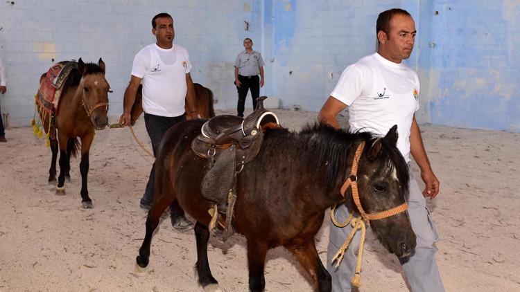 FETÖ’nün atları engellileri terapide kullanılıyor