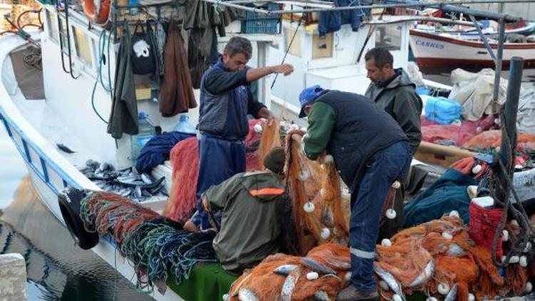 Balıkçı kardeşleri palamut avı güldürdü