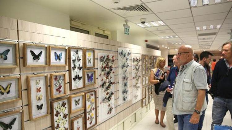 Alman gazeteciler, Kelebekler Bahçesi’ne hayran kaldı
