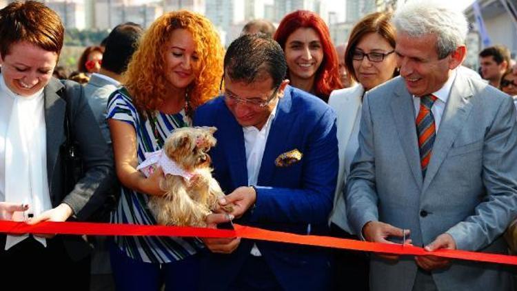 Türkiyenin en kapsamlı hayvan bakım evi Beylikdüzü’nde açıldı