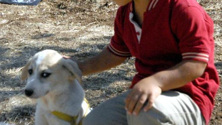 Kahramanmaraşta çocuklar hayvanlarla buluştu