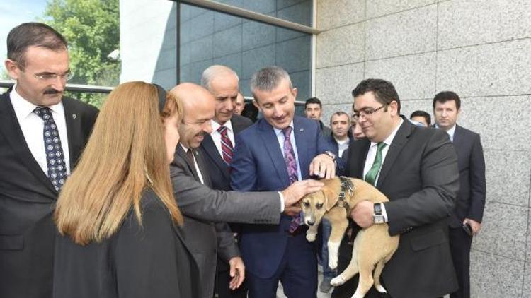 Büyükşehirden Hayvanları Koruma Günü etkinliği