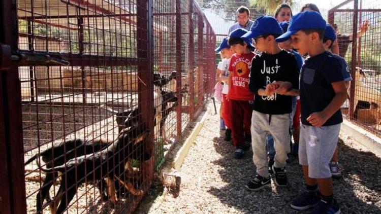 Minik öğrencilerden hayvanlar için mama bağışı