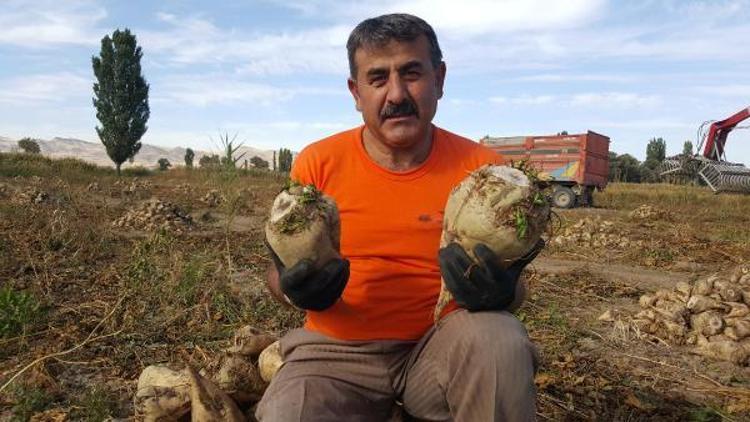 Şeker oranını artırma seferberliğine çiftçilerden tam destek