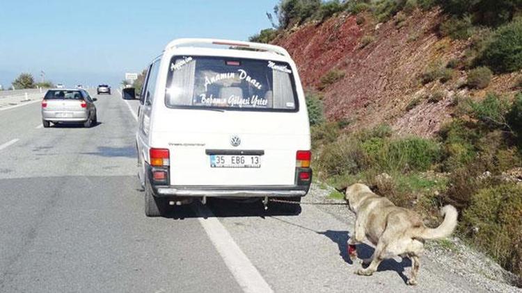 Bu vahşetin cezası yalnızca 1000 lira