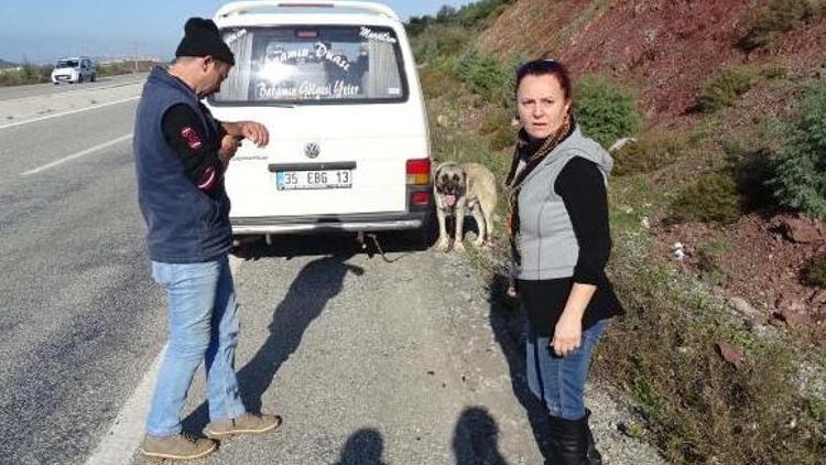 Köpeğe işkence yapana çifte ceza