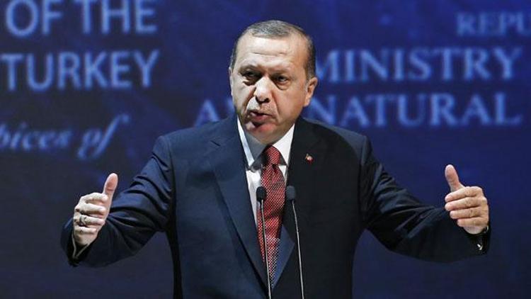 Erdoğan: 3. nükleer santral projesini hayata geçirmenin arayışı içindeyiz