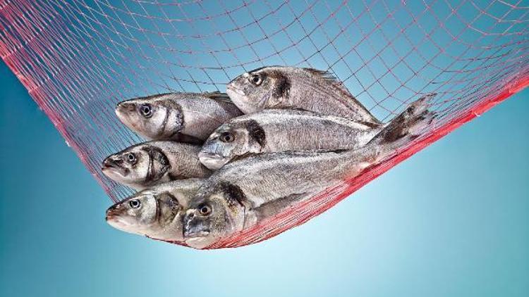 İspanyollara Türk balığı ziyafeti
