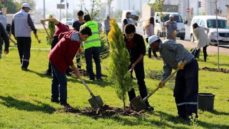 Melikgazide öğrenciler, fidan dikti